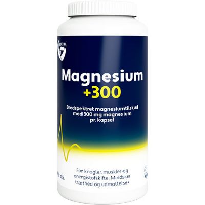 Magnesium 300 160 kap